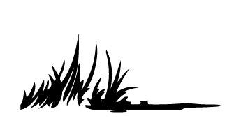 tpr-logo_blk-tiny-grass@4x